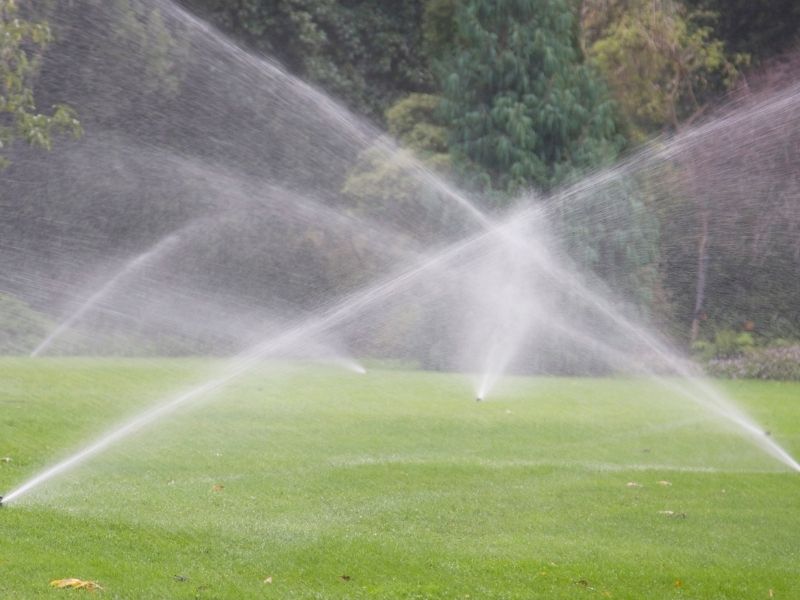 Jak skutecznie naprawiać zraszacze w gospodarstwach rolnych? Praktyczne porady