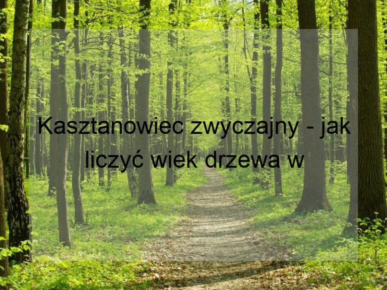 Kasztanowiec zwyczajny - jak liczyć wiek drzewa w latach?