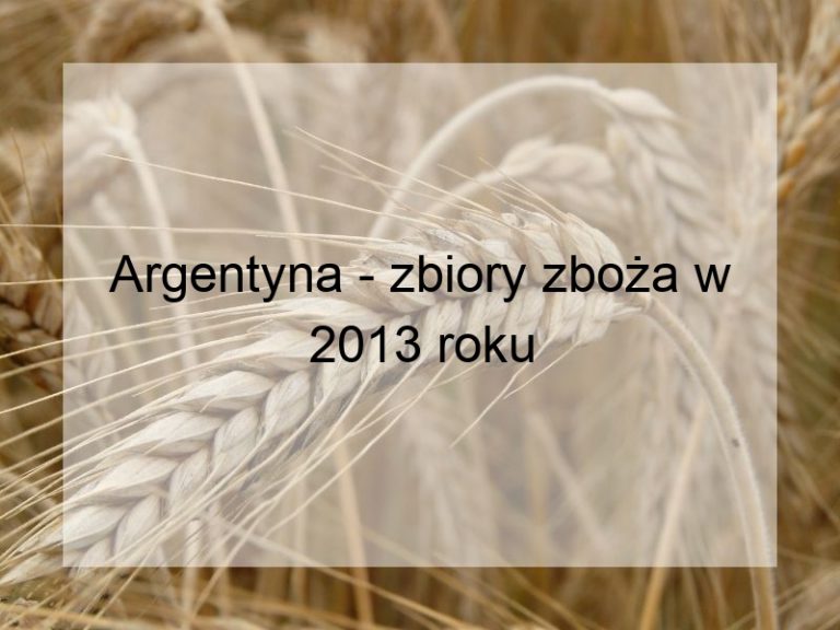 Argentyna - zbiory zboża w 2013 roku