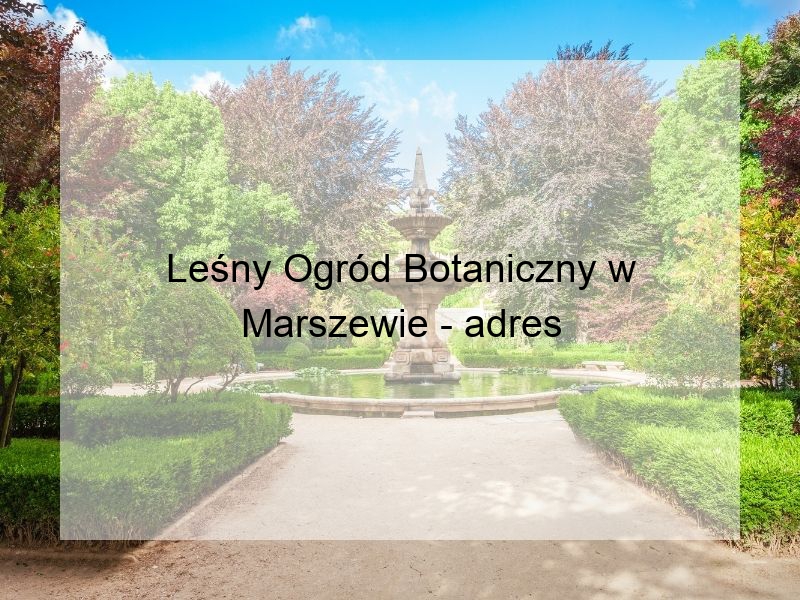 Leśny Ogród Botaniczny w Marszewie - adres