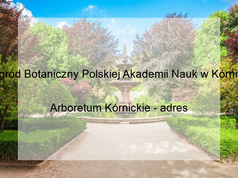 Ogród Botaniczny Polskiej Akademii Nauk w Kórniku
Arboretum Kórnickie - adres