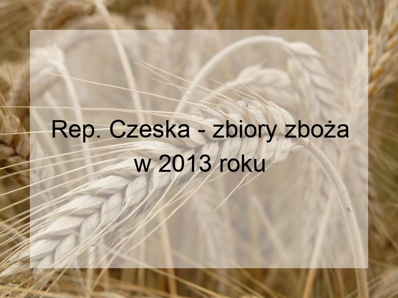 Rep. Czeska - zbiory zboża w 2013 roku