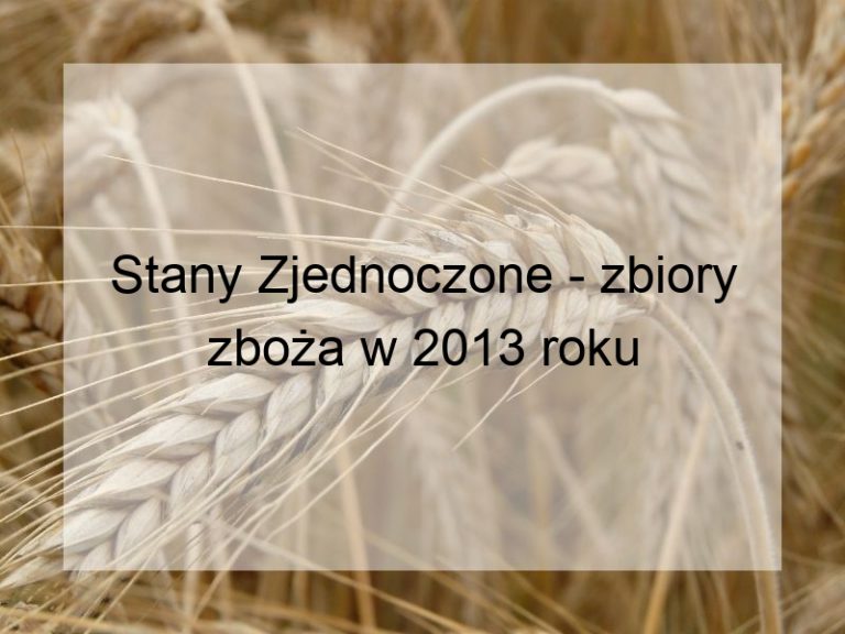 Stany Zjednoczone - zbiory zboża w 2013 roku