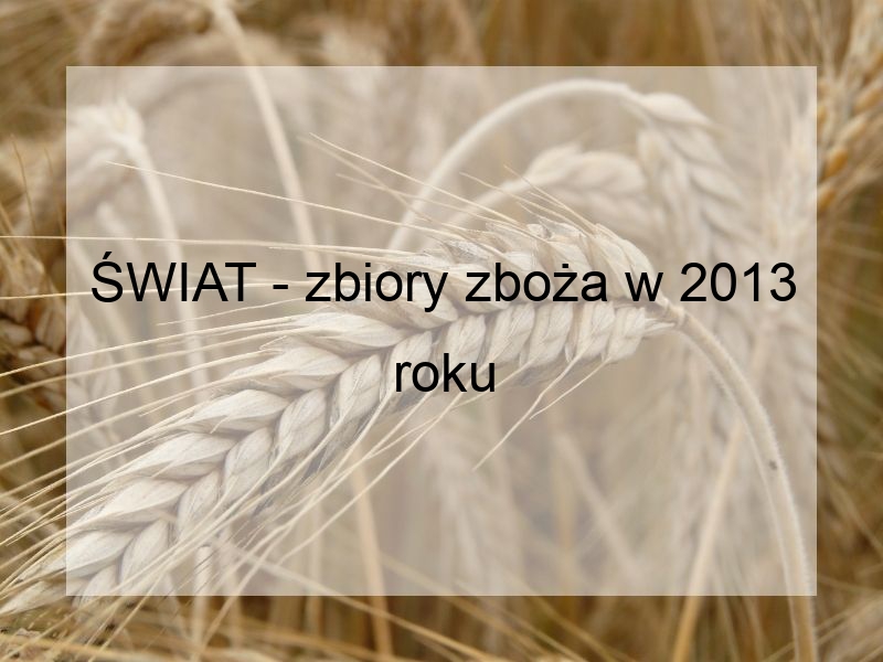 ŚWIAT - zbiory zboża w 2013 roku
