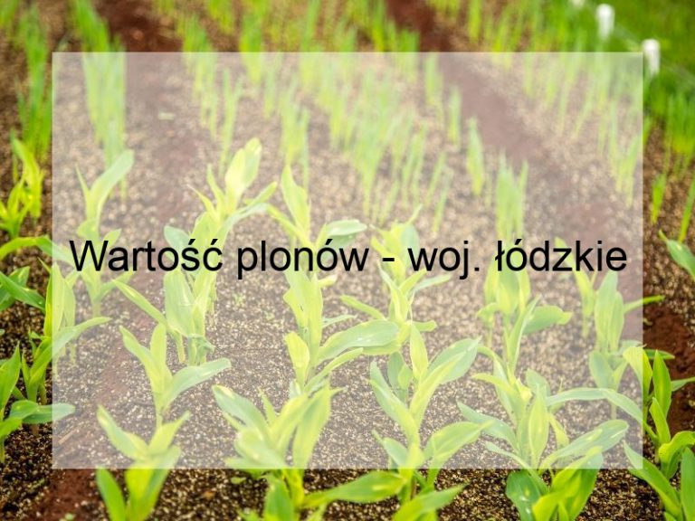 Wartość plonów - woj. łódzkie