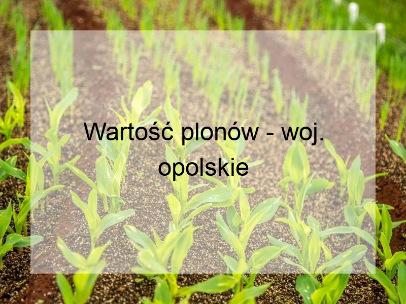 Wartość plonów - woj. opolskie