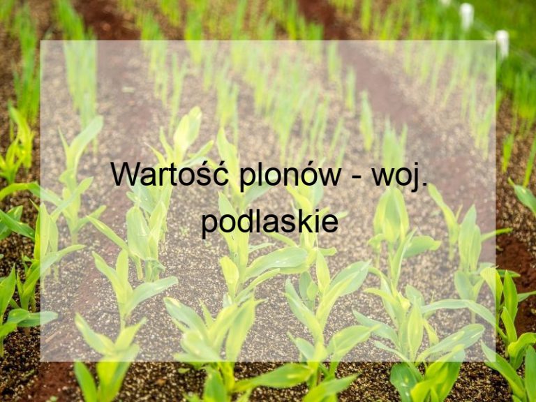 Wartość plonów - woj. podlaskie