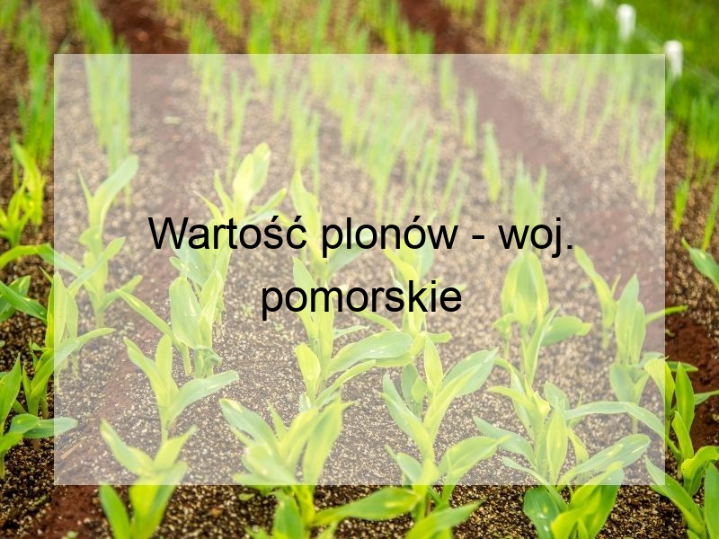 Wartość plonów - woj. pomorskie