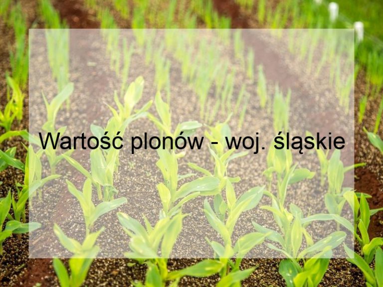 Wartość plonów - woj. śląskie