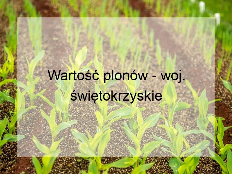 Wartość plonów - woj. świętokrzyskie