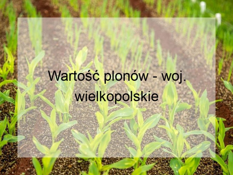Wartość plonów - woj. wielkopolskie