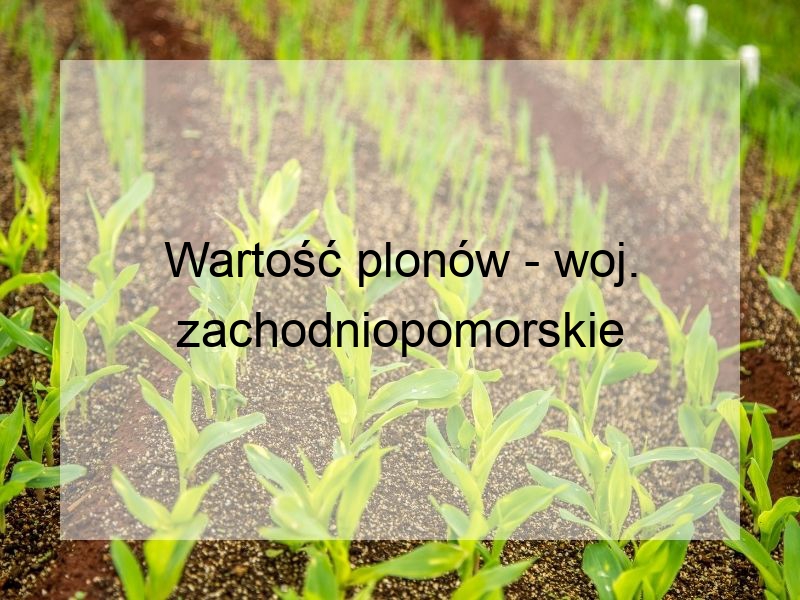 Wartość plonów - woj. zachodniopomorskie