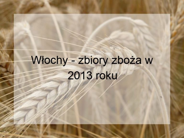 Włochy - zbiory zboża w 2013 roku