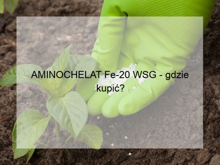 AMINOCHELAT Fe-20 WSG - gdzie kupić?