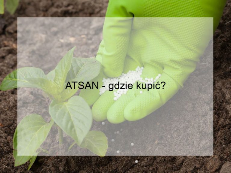ATSAN - gdzie kupić?