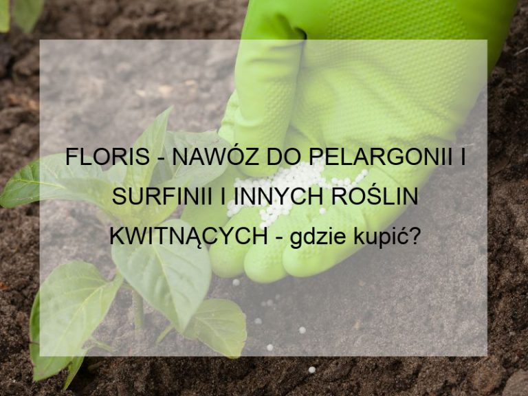 FLORIS - NAWÓZ DO PELARGONII I SURFINII I INNYCH ROŚLIN KWITNĄCYCH - gdzie kupić?