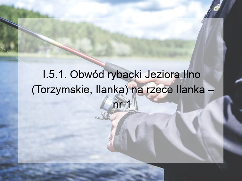 I.5.1. Obwód rybacki Jeziora Ilno (Torzymskie, Ilanka) na rzece Ilanka – nr 1