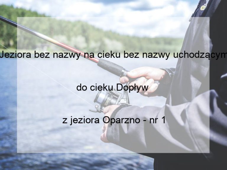 Jeziora bez nazwy na cieku bez nazwy uchodzącym do cieku Dopływ 
z jeziora Oparzno - nr 1