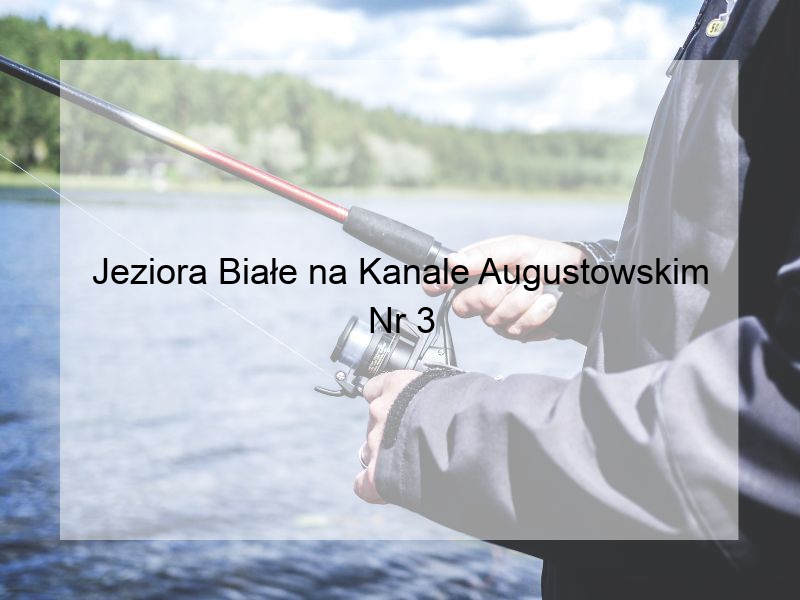 Jeziora Białe na Kanale Augustowskim Nr 3