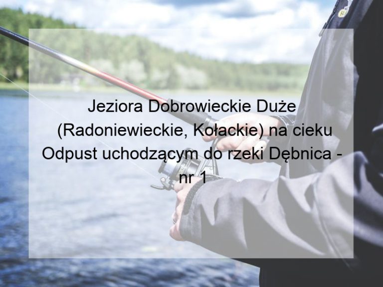 Jeziora Dobrowieckie Duże (Radoniewieckie, Kołackie) na cieku Odpust uchodzącym do rzeki Dębnica - nr 1