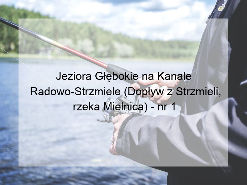 Jeziora Głębokie na Kanale Radowo-Strzmiele (Dopływ z Strzmieli, rzeka Mielnica) - nr 1