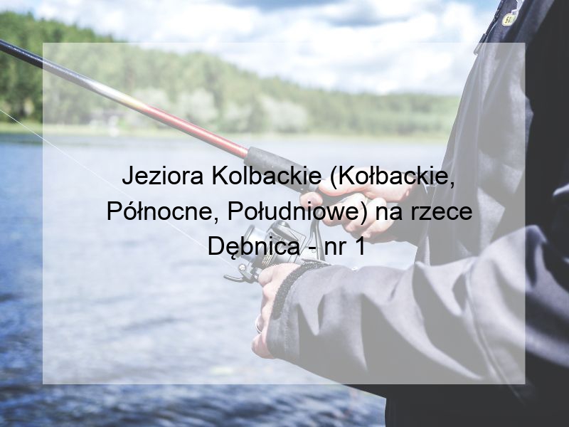 Jeziora Kolbackie (Kołbackie, Północne, Południowe) na rzece Dębnica - nr 1