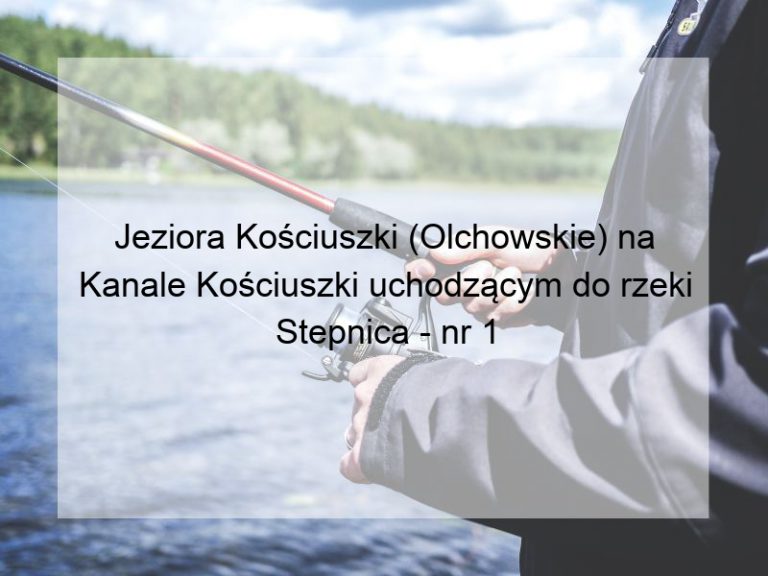 Jeziora Kościuszki (Olchowskie) na Kanale Kościuszki uchodzącym do rzeki Stepnica - nr 1