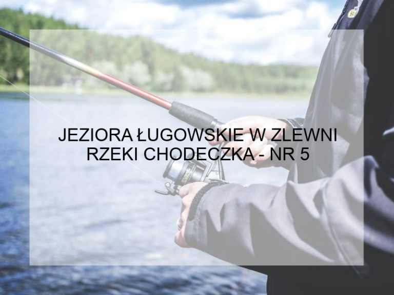 JEZIORA ŁUGOWSKIE W ZLEWNI RZEKI CHODECZKA - NR 5