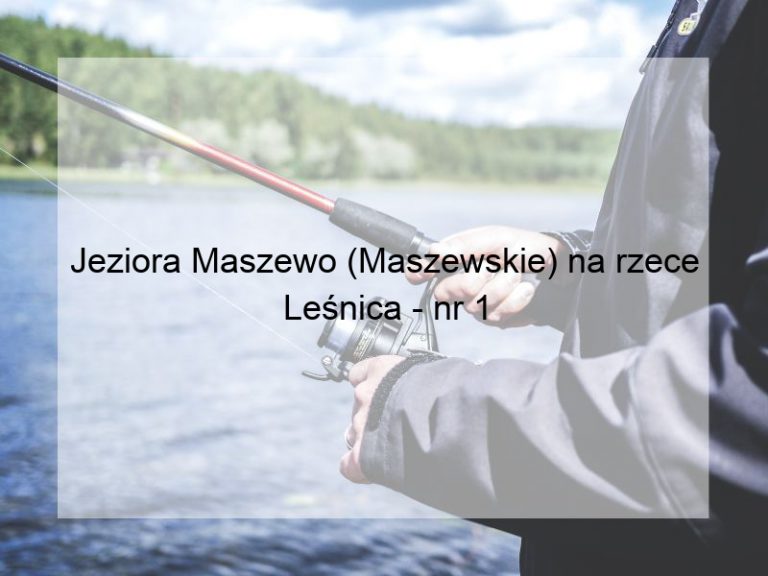 Jeziora Maszewo (Maszewskie) na rzece Leśnica - nr 1
