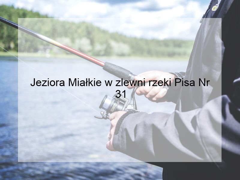 Jeziora Miałkie w zlewni rzeki Pisa Nr 31