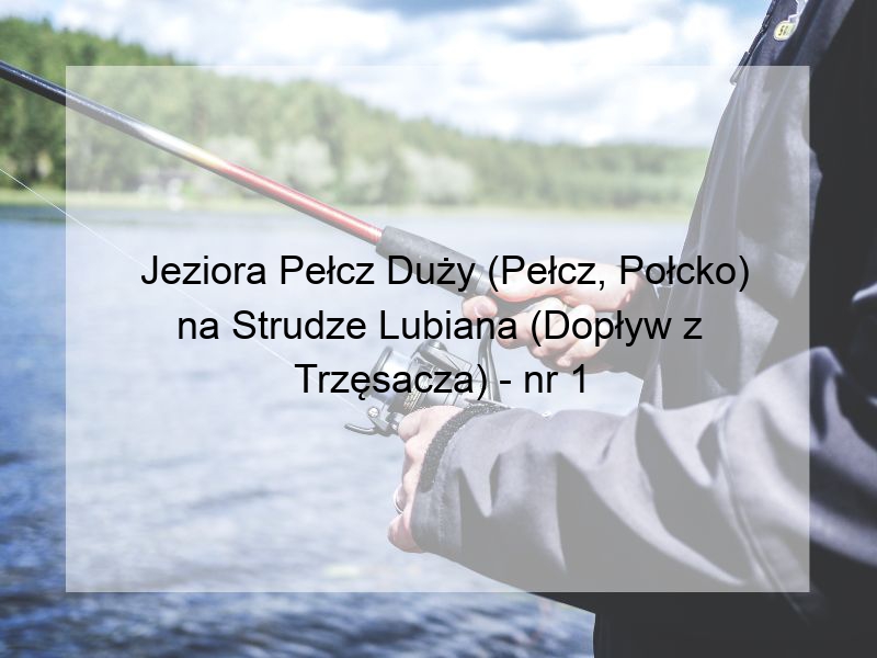 Jeziora Pełcz Duży (Pełcz, Połcko) na Strudze Lubiana (Dopływ z Trzęsacza) - nr 1
