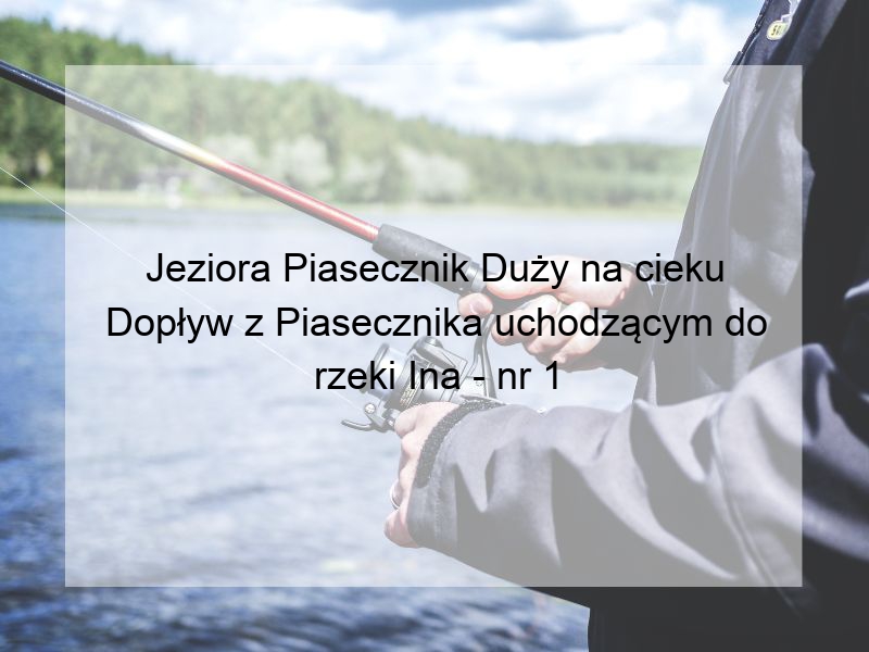 Jeziora Piasecznik Duży na cieku Dopływ z Piasecznika uchodzącym do rzeki Ina - nr 1