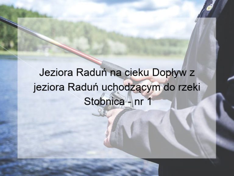 Jeziora Raduń na cieku Dopływ z jeziora Raduń uchodzącym do rzeki Stobnica - nr 1