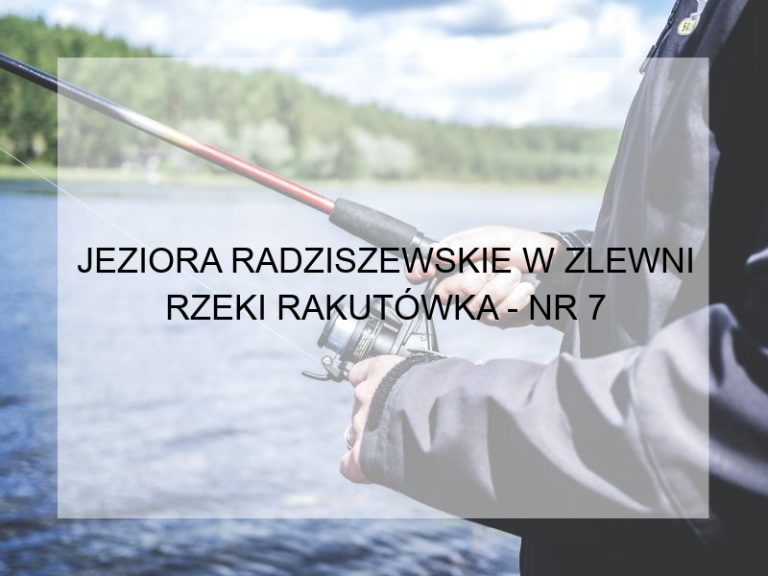 JEZIORA RADZISZEWSKIE W ZLEWNI RZEKI RAKUTÓWKA - NR 7