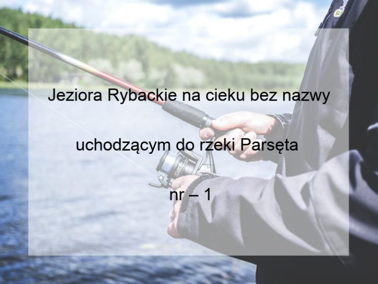 Jeziora Rybackie na cieku bez nazwy uchodzącym do rzeki Parsęta 
nr – 1