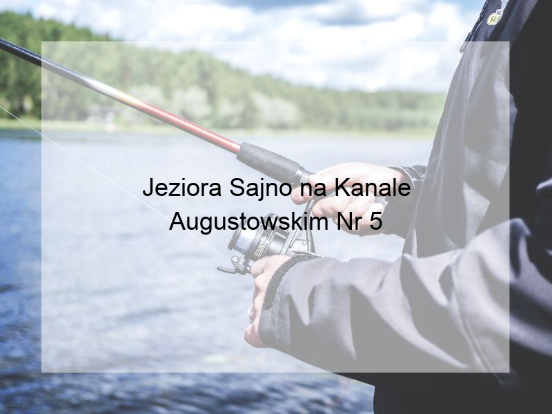 Jeziora Sajno na Kanale Augustowskim Nr 5