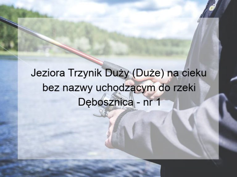 Jeziora Trzynik Duży (Duże) na cieku bez nazwy uchodzącym do rzeki Dębosznica - nr 1