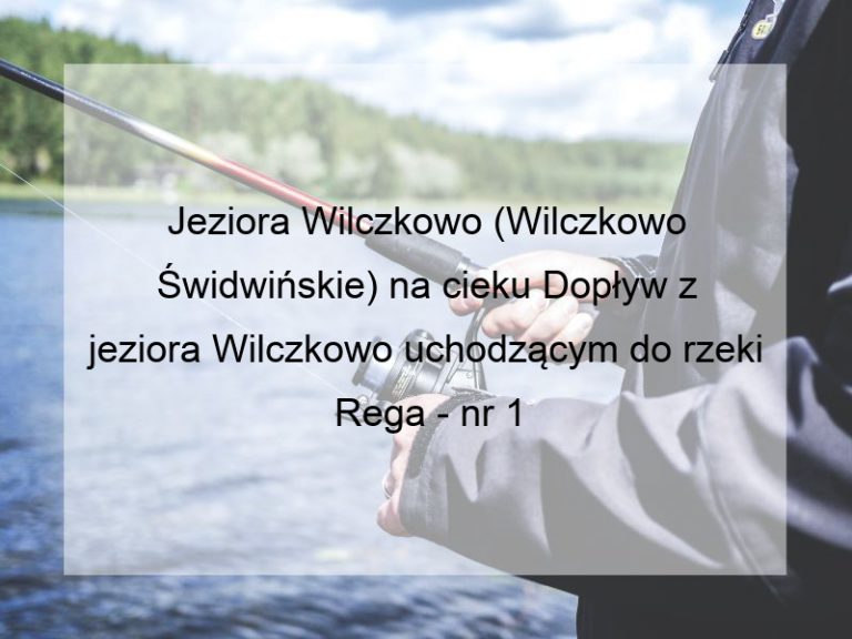 Jeziora Wilczkowo (Wilczkowo Świdwińskie) na cieku Dopływ z jeziora Wilczkowo uchodzącym do rzeki Rega - nr 1