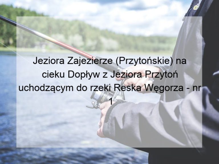 Jeziora Zajezierze (Przytońskie) na cieku Dopływ z Jeziora Przytoń uchodzącym do rzeki Reska Węgorza - nr 1