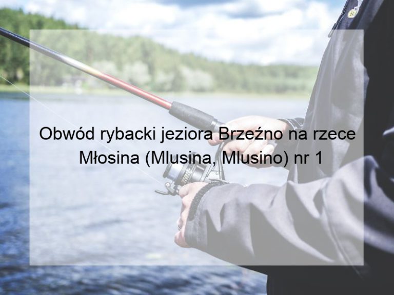 Obwód rybacki jeziora Brzeźno na rzece Młosina (Mlusina, Mlusino) nr 1