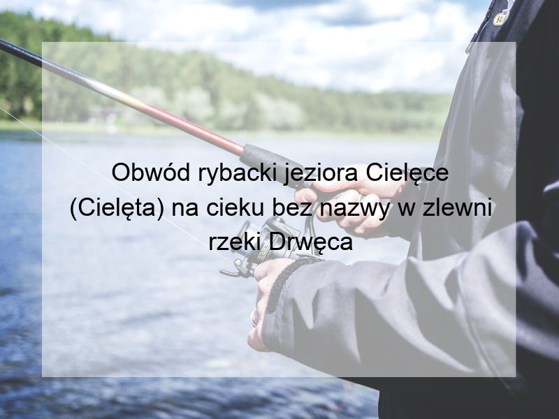 Obwód rybacki jeziora Cielęce (Cielęta) na cieku bez nazwy w zlewni rzeki Drwęca