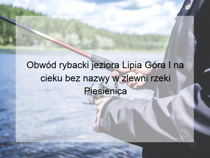 Obwód rybacki jeziora Lipia Góra I na cieku bez nazwy w zlewni rzeki Piesienica