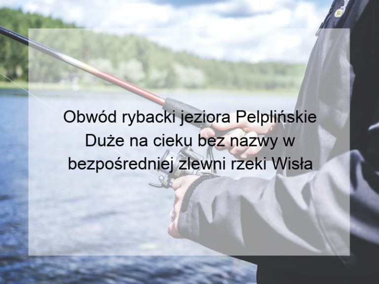 Obwód rybacki jeziora Pelplińskie Duże na cieku bez nazwy w bezpośredniej zlewni rzeki Wisła