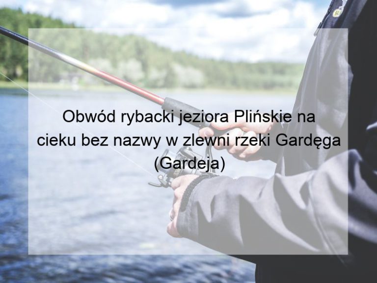 Obwód rybacki jeziora Plińskie na cieku bez nazwy w zlewni rzeki Gardęga (Gardeja)