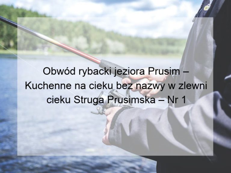 Obwód rybacki jeziora Prusim – Kuchenne na cieku bez nazwy w zlewni cieku Struga Prusimska – Nr 1