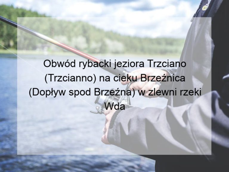 Obwód rybacki jeziora Trzciano (Trzcianno) na cieku Brzeźnica (Dopływ spod Brzeźna) w zlewni rzeki Wda