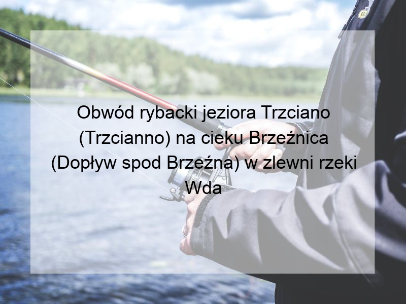 Obwód rybacki jeziora Trzciano (Trzcianno) na cieku Brzeźnica (Dopływ spod Brzeźna) w zlewni rzeki Wda