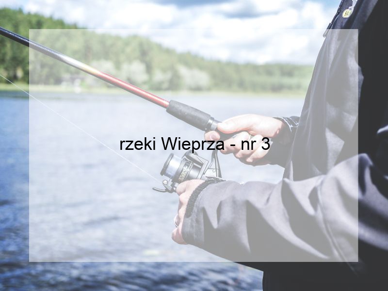 rzeki Wieprza - nr 3