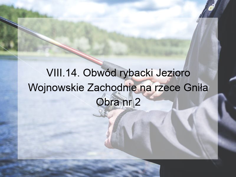 VIII.14. Obwód rybacki Jezioro Wojnowskie Zachodnie na rzece Gniła Obra nr 2