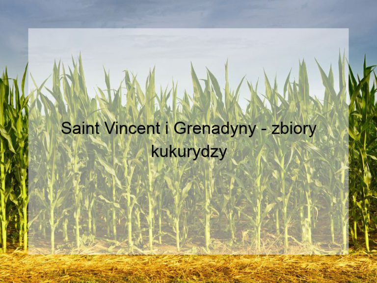 Saint Vincent i Grenadyny - zbiory kukurydzy